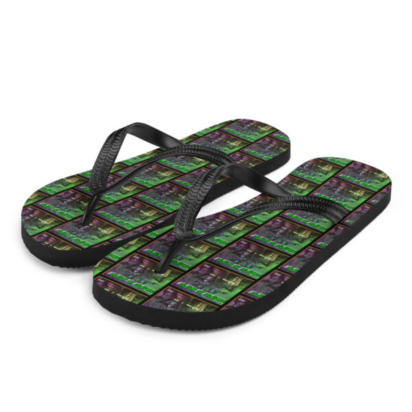 Flip-Flops - Image 2