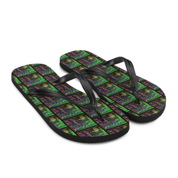 Flip-Flops - Image 7